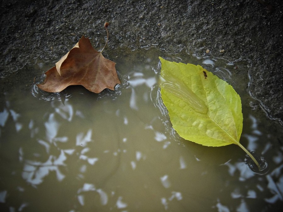 Bericht Strijd tegen de regen: Hoe houden we droge voeten?  bekijken